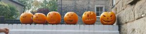 Row of carved pumpkins on top of a garden wall.